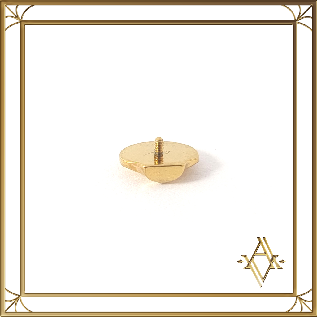 Piercing titane doré Sirène Artefact de Vala